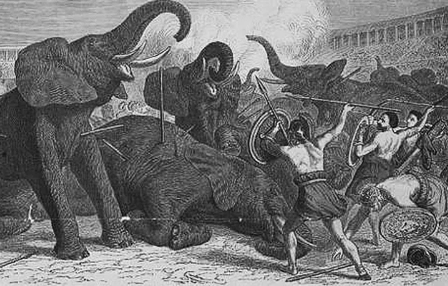 Animal fights at the Colosseum