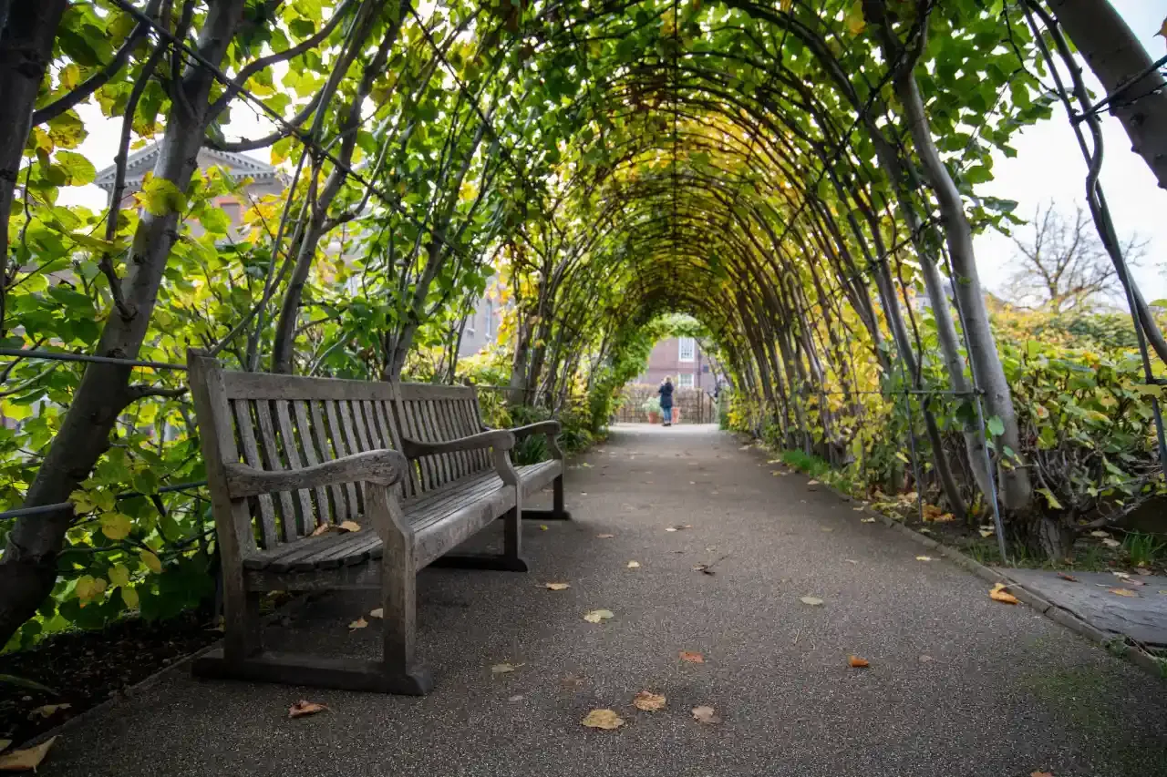 Cradle Walk
