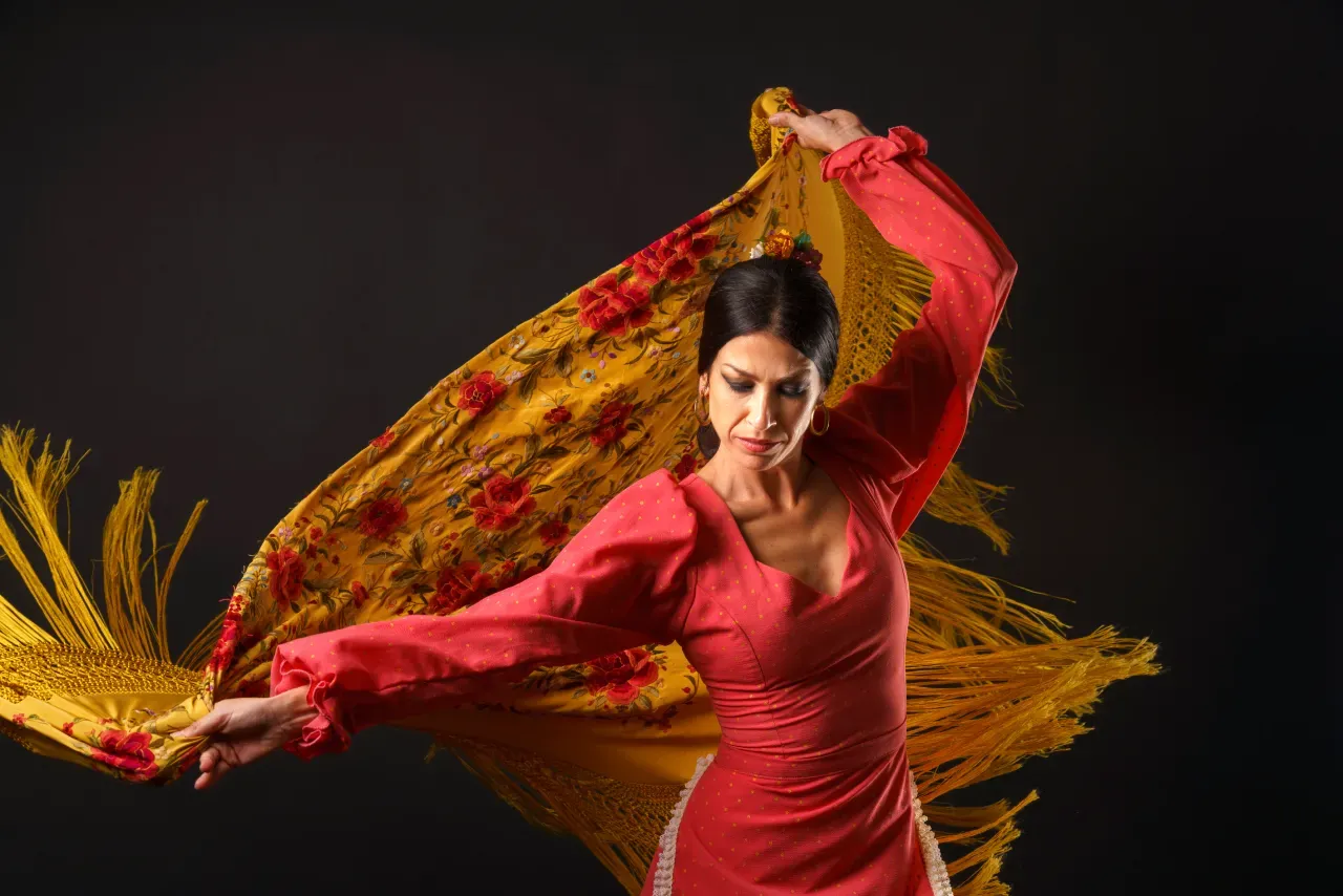Flamenco Show Special Ticket