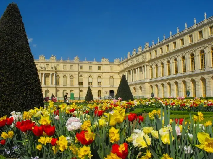 Flowers in the Palace of Versailles