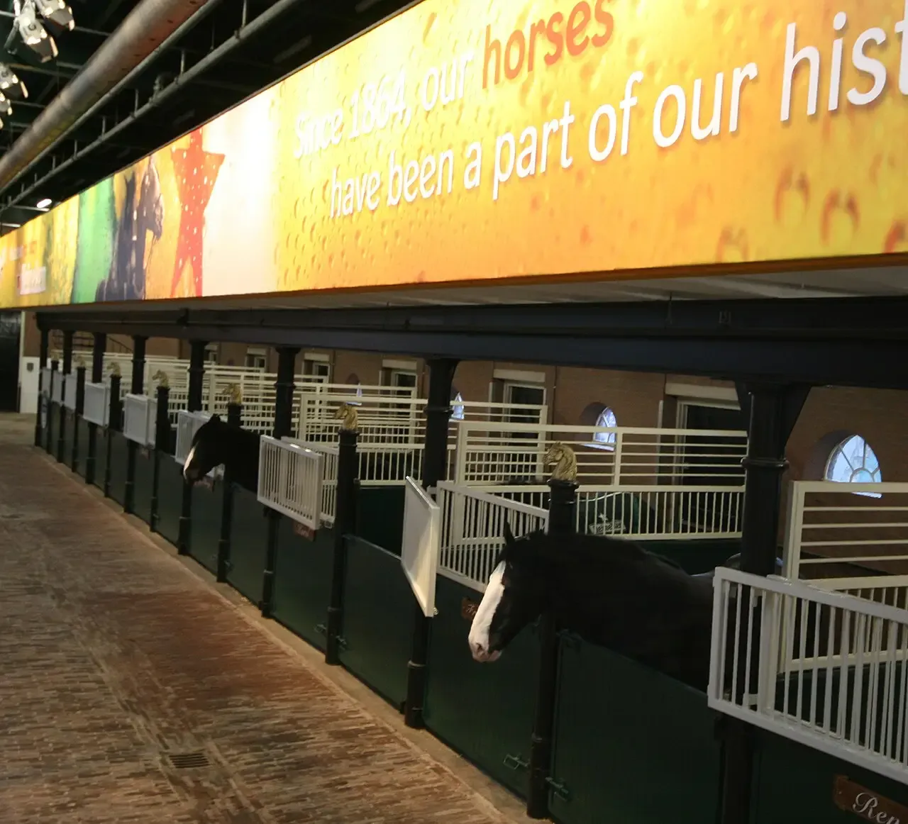 Heineken Horse Stable