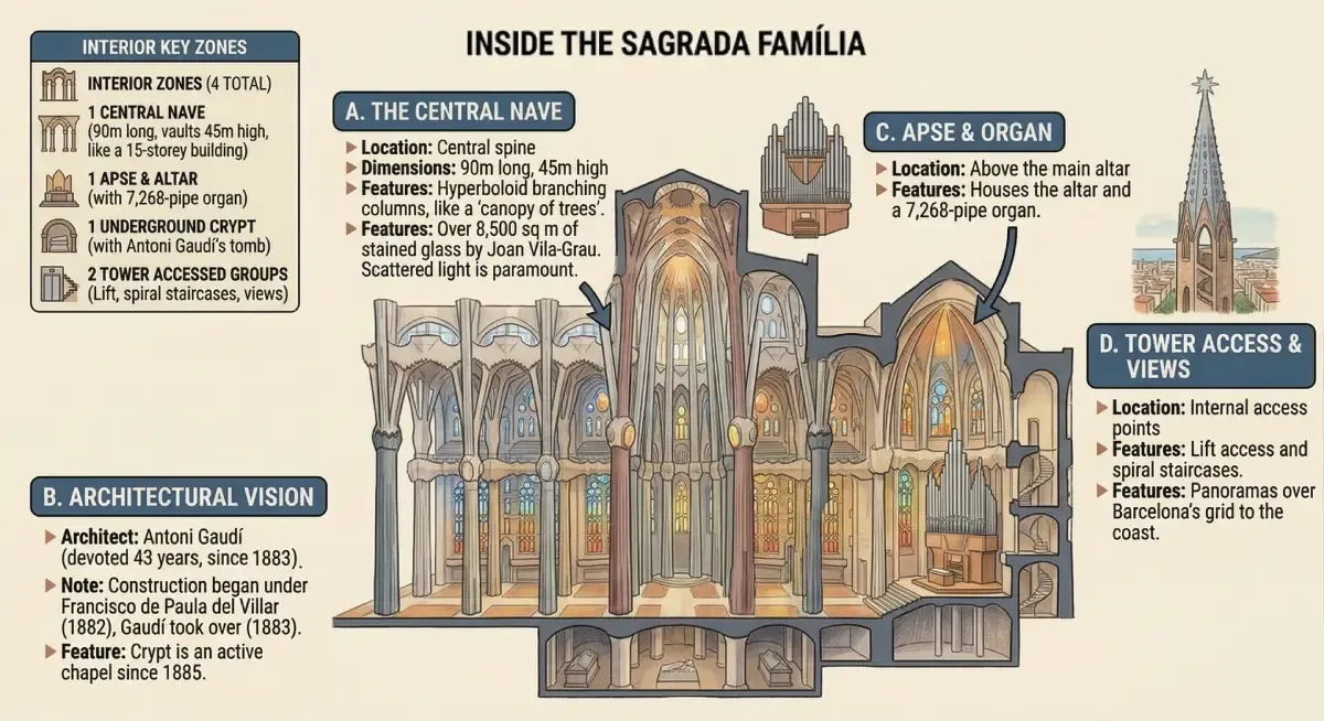 Infographic of the interior of the Sagrada Familia