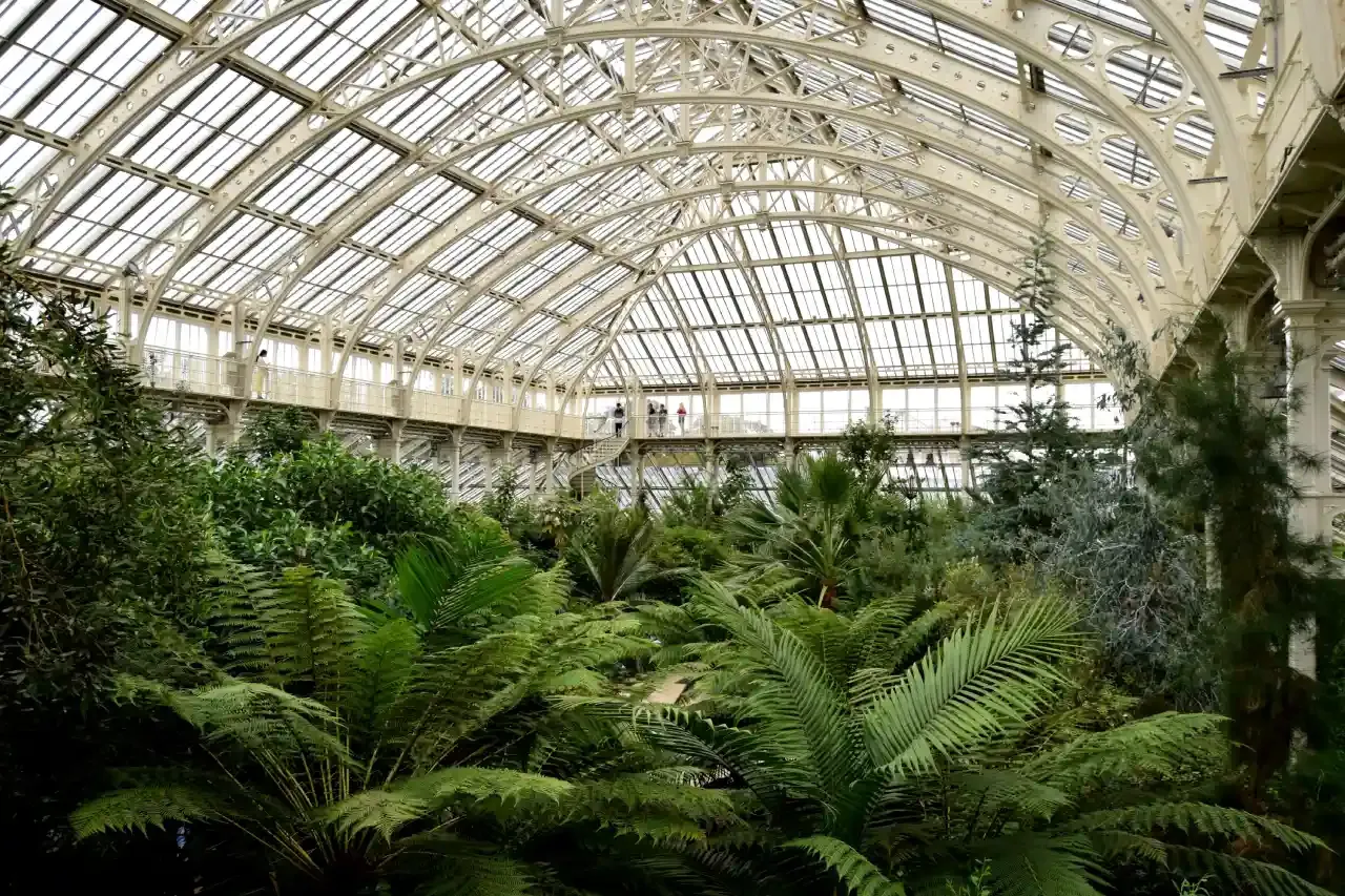 Inside the Temperate House