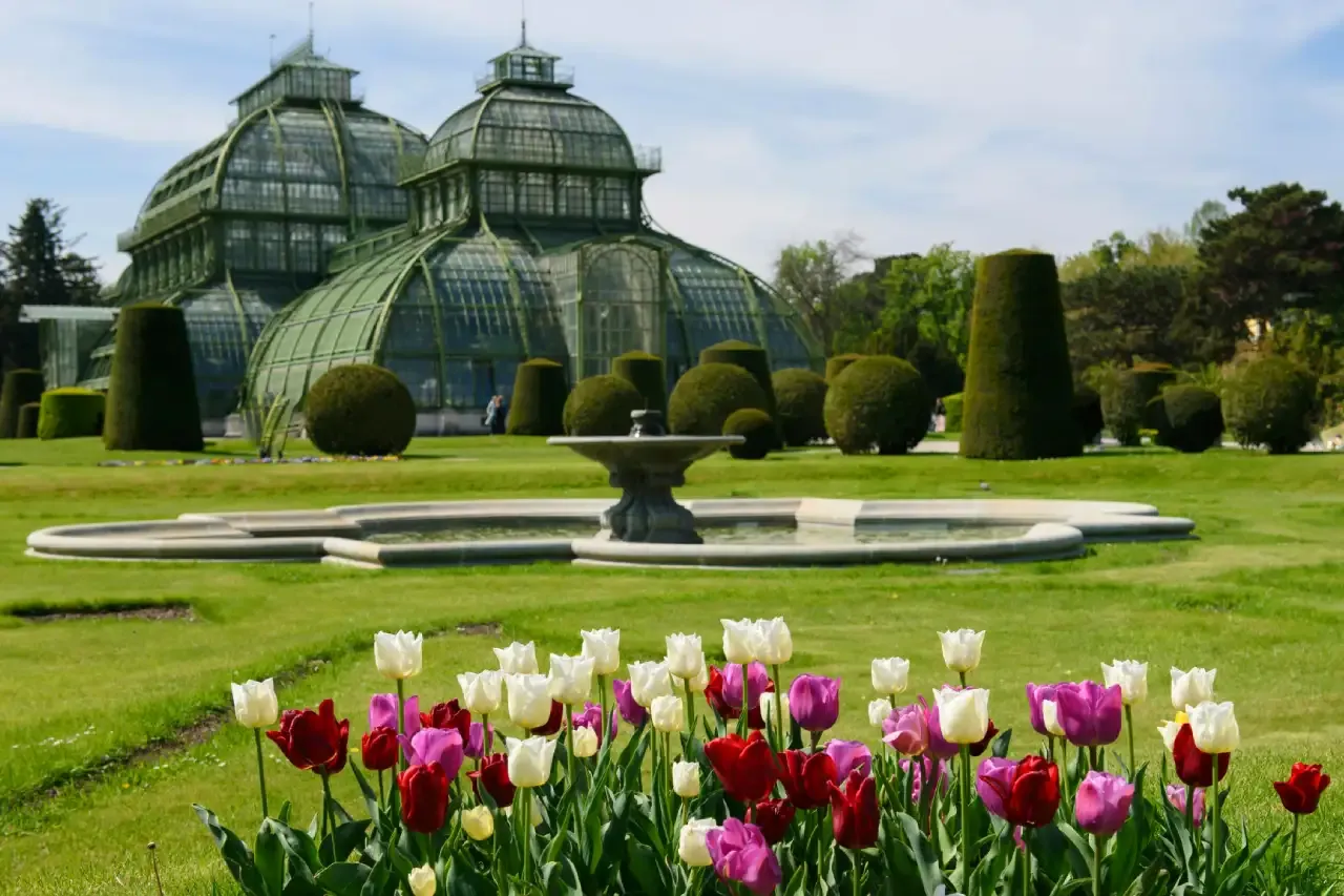 Palm House Schönbrunn