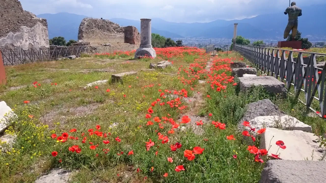 Pompeii in the spring