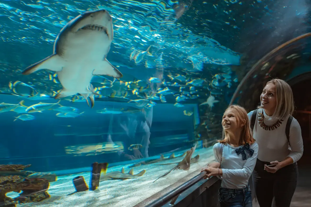 Lisbon Oceanarium